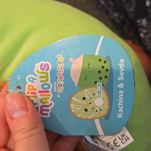 🤑Kachina the Kiwi and Sevda the Boba FLIPAMALLOW Squishmallow